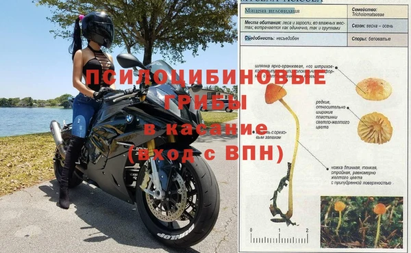 spice Беломорск