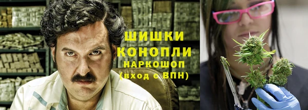 spice Беломорск