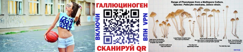 мега онион  Шимановск  Галлюциногенные грибы Magic Shrooms 